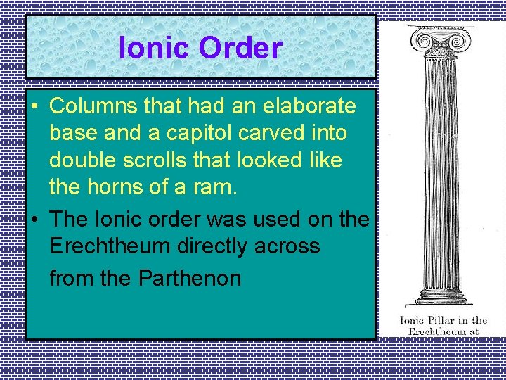 Ionic Order • Columns that had an elaborate base and a capitol carved into