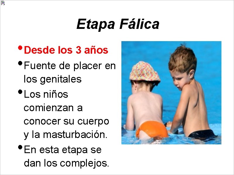 Etapa Fálica • Desde los 3 años • Fuente de placer en • •