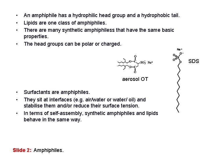  • • An amphiphile has a hydrophilic head group and a hydrophobic tail.