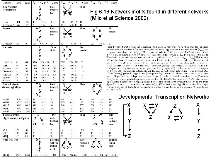 Fig 6. 18 Network motifs found in different networks (Milo et al Science 2002)