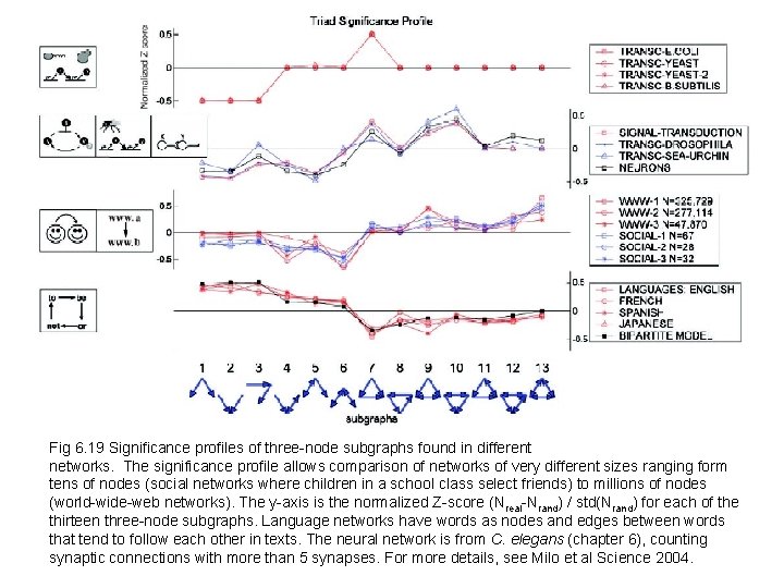 Fig 6. 19 Significance profiles of three-node subgraphs found in different networks. The significance