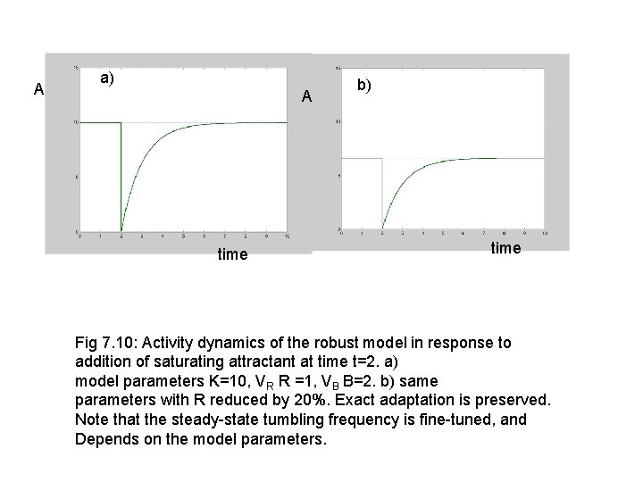 A a) A time b) time Fig 7. 10: Activity dynamics of the robust