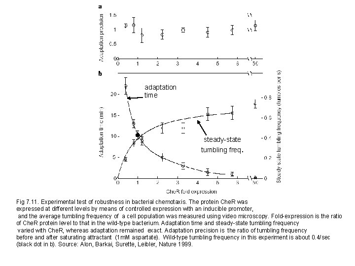 adaptation time steady-state tumbling freq. Fig 7. 11. Experimental test of robustness in bacterial