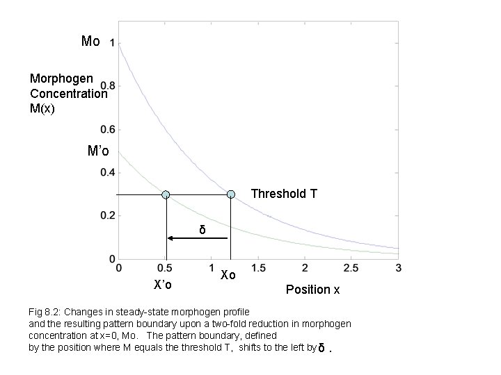 Mo Morphogen Concentration M(x) M’o Threshold T δ X’o Xo Position x Fig 8.