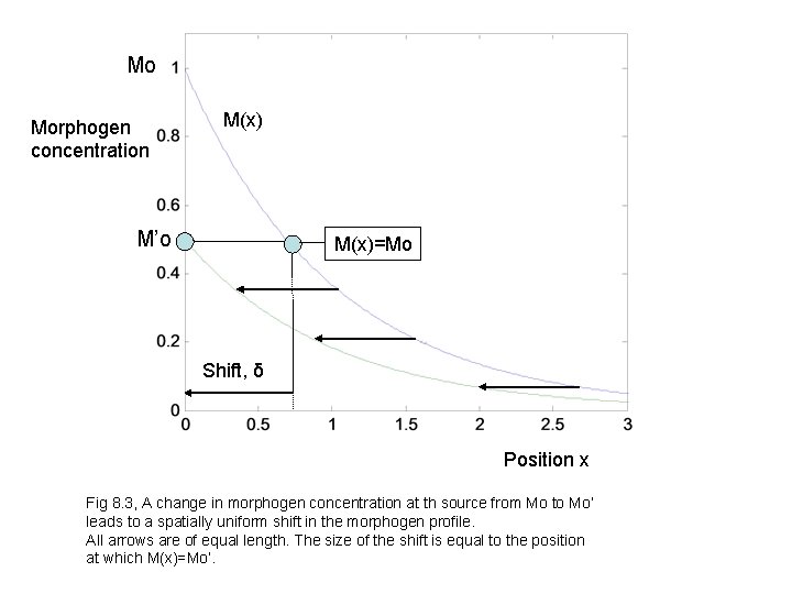 Mo Morphogen concentration M(x) M’o M(x)=Mo Shift, δ Position x Fig 8. 3, A