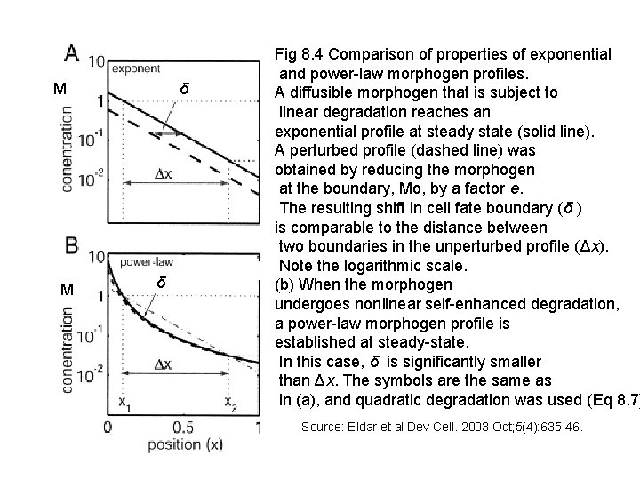 δ M M δ Fig 8. 4 Comparison of properties of exponential and power-law