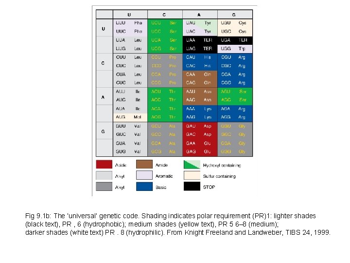 Fig 9. 1 b: The ‘universal’ genetic code. Shading indicates polar requirement (PR)1: lighter