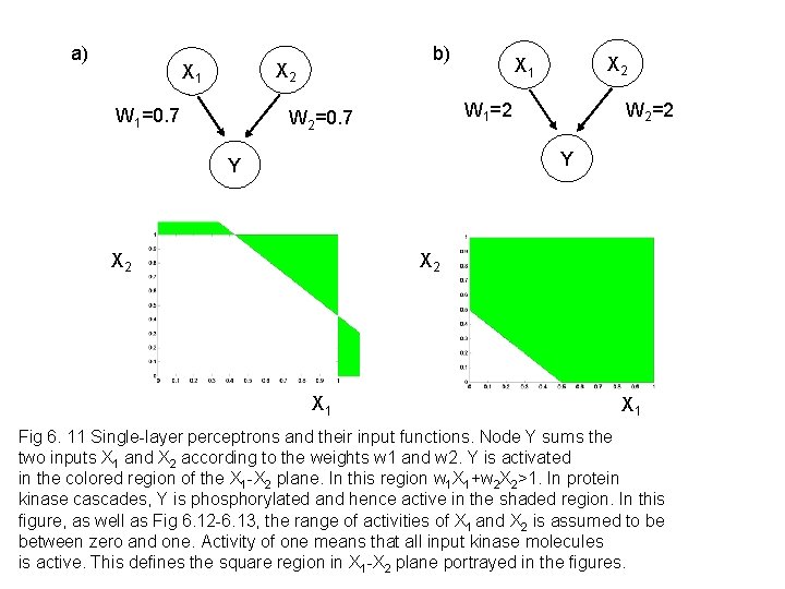 a) b) X 2 X 1 W 1=0. 7 X 2 X 1 W