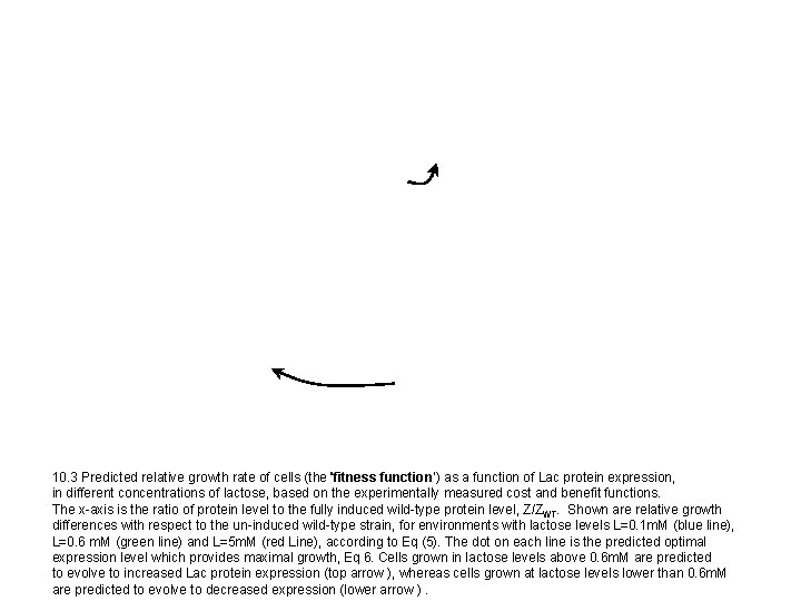 10. 3 Predicted relative growth rate of cells (the 'fitness function') as a function