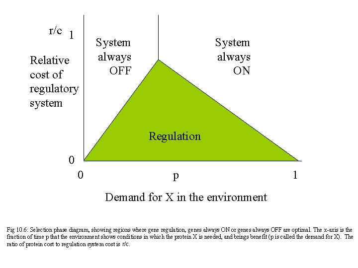 r/c 1 Relative cost of regulatory system System always OFF System always ON Regulation