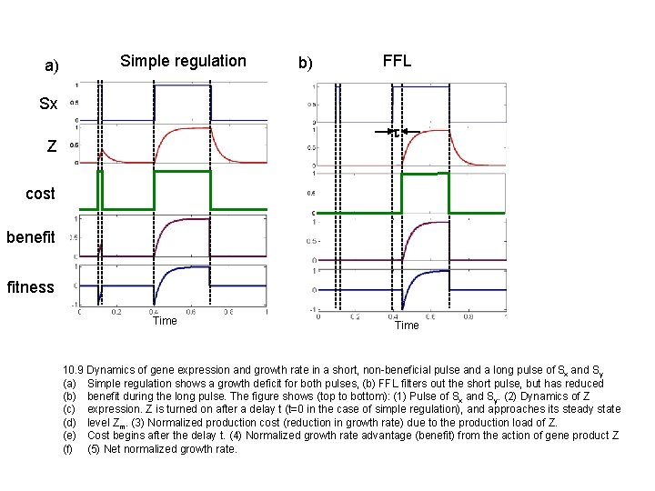 a) Simple regulation b) FFL Sx t Z cost benefit fitness Time 10. 9