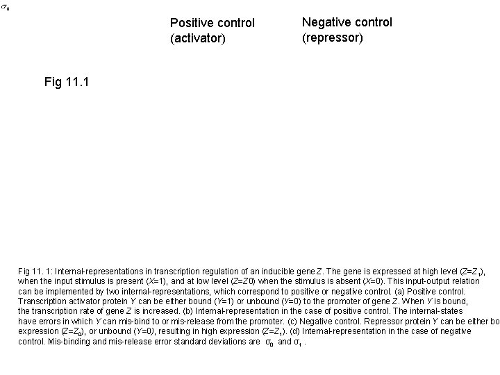 Positive control (activator) Negative control (repressor) Fig 11. 1: Internal-representations in transcription regulation of