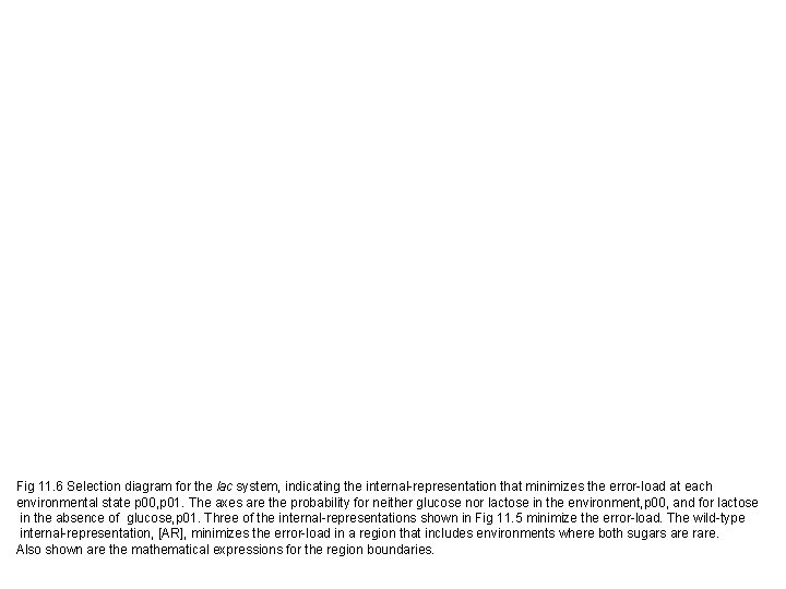 Fig 11. 6 Selection diagram for the lac system, indicating the internal-representation that minimizes