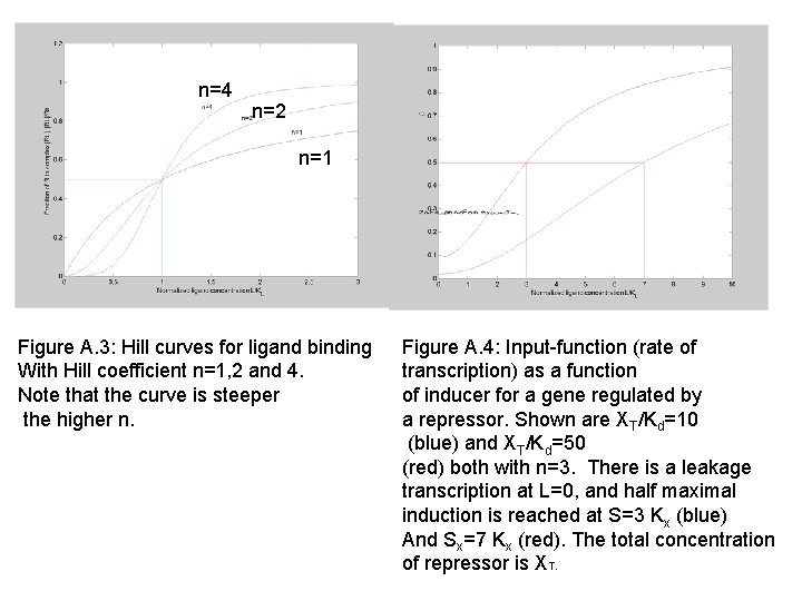 n=4 n=2 n=1 Figure A. 3: Hill curves for ligand binding With Hill coefficient