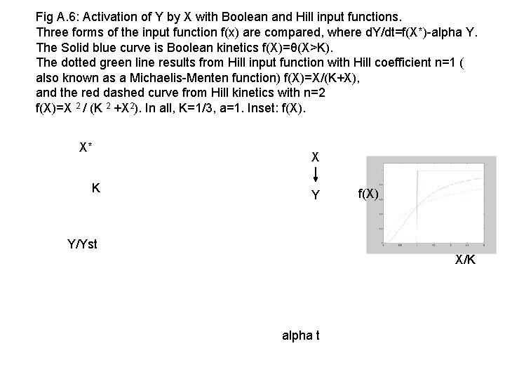 Fig A. 6: Activation of Y by X with Boolean and Hill input functions.