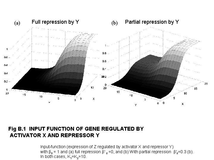 (a) Full repression by Y (b) Partial repression by Y Fig B. 1 INPUT
