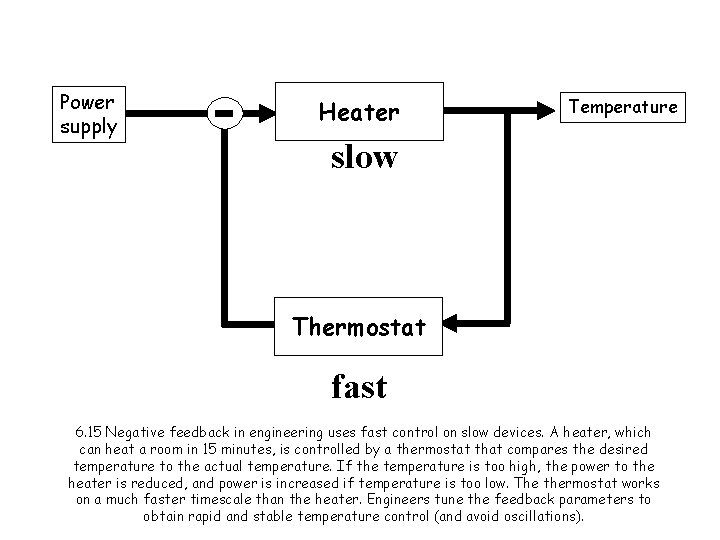 Power supply Heater Temperature slow Thermostat fast 6. 15 Negative feedback in engineering uses