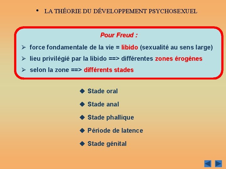  • LA THÉORIE DU DÉVELOPPEMENT PSYCHOSEXUEL Pour Freud : Ø force fondamentale de