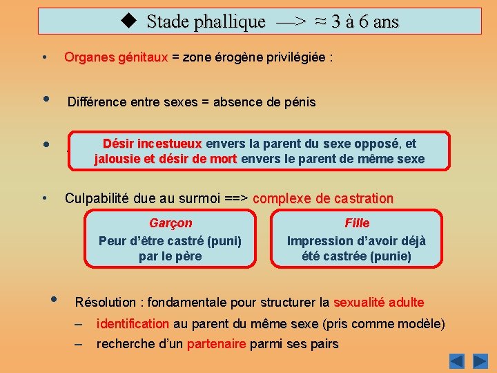 u Stade phallique —> ≈ 3 à 6 ans • Organes génitaux = zone