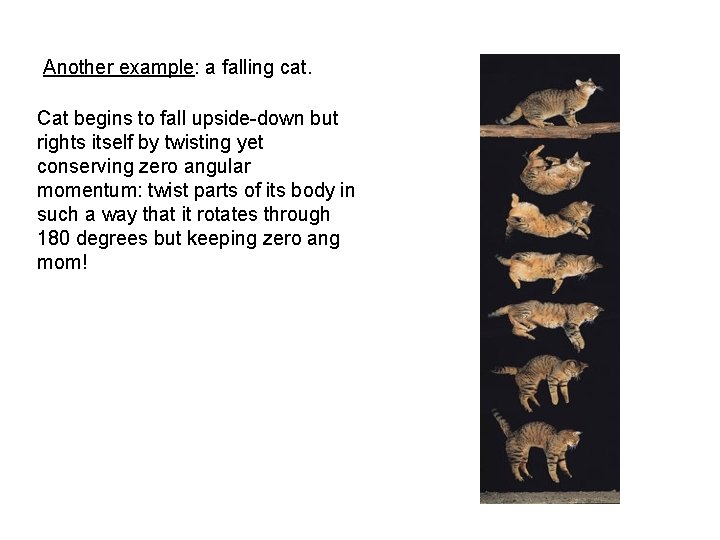 Another example: a falling cat. Cat begins to fall upside-down but rights itself by