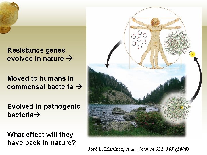 Resistance genes evolved in nature Moved to humans in commensal bacteria Evolved in pathogenic