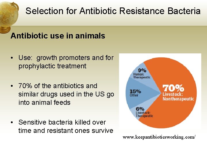 Selection for Antibiotic Resistance Bacteria Antibiotic use in animals • Use: growth promoters and