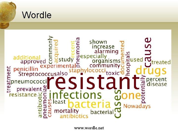 Wordle www. wordle. net 