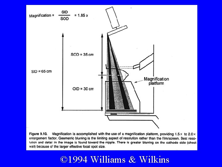 © 1994 Williams & Wilkins 