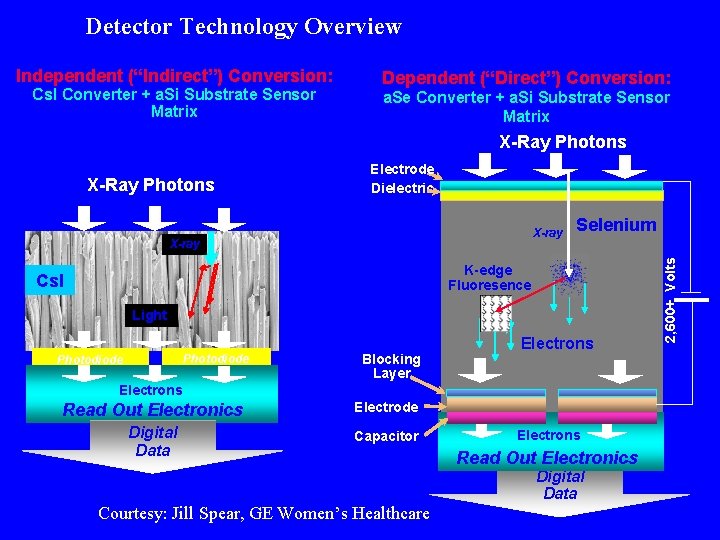 Detector Technology Overview Independent (“Indirect”) Conversion: Cs. I Converter + a. Si Substrate Sensor