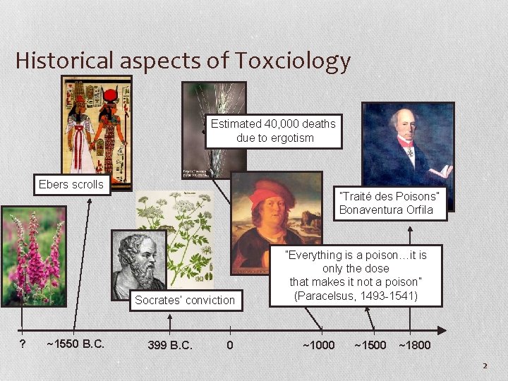 Historical aspects of Toxciology Estimated 40, 000 deaths due to ergotism Ebers scrolls ”Traité