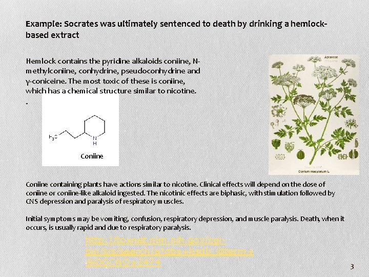Example: Socrates was ultimately sentenced to death by drinking a hemlockbased extract Hemlock contains