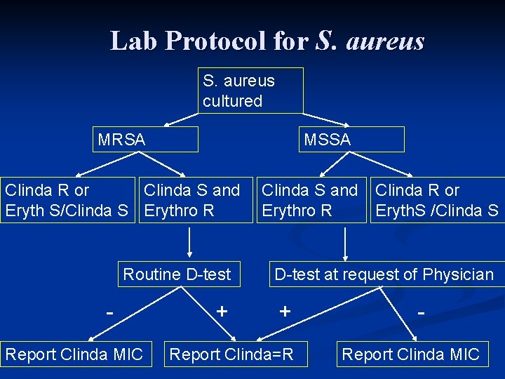 Lab Protocol for S. aureus cultured MRSA MSSA Clinda R or Clinda S and