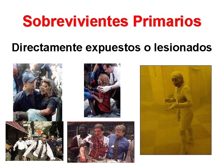 Sobrevivientes Primarios Directamente expuestos o lesionados 