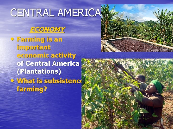 CENTRAL AMERICA ECONOMY • Farming is an • important economic activity of Central America