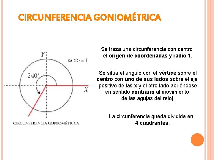 CIRCUNFERENCIA GONIOMÉTRICA Se traza una circunferencia con centro el origen de coordenadas y radio