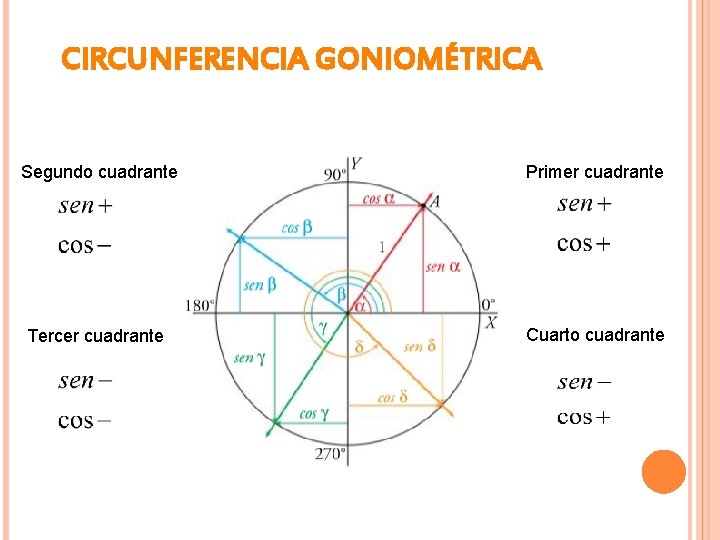 CIRCUNFERENCIA GONIOMÉTRICA Segundo cuadrante Primer cuadrante Tercer cuadrante Cuarto cuadrante 