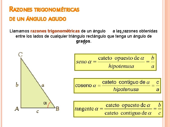 RAZONES TRIGONOMÉTRICAS DE UN ÁNGULO AGUDO Llamamos razones trigonométricas de un ángulo a las