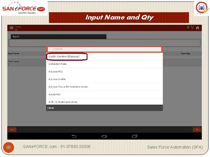 Input Name and Qty 85 SANe. FORCE. com - 91 -97890 -33008 Sales Force