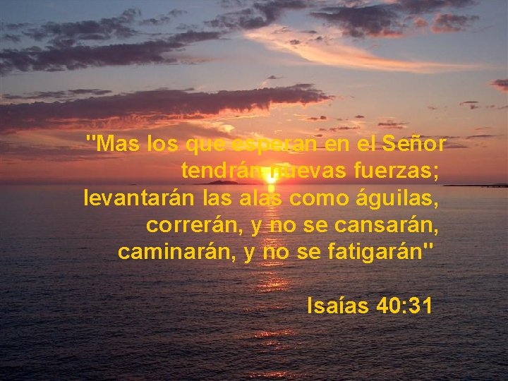 "Mas los que esperan en el Señor tendrán nuevas fuerzas; levantarán las alas como