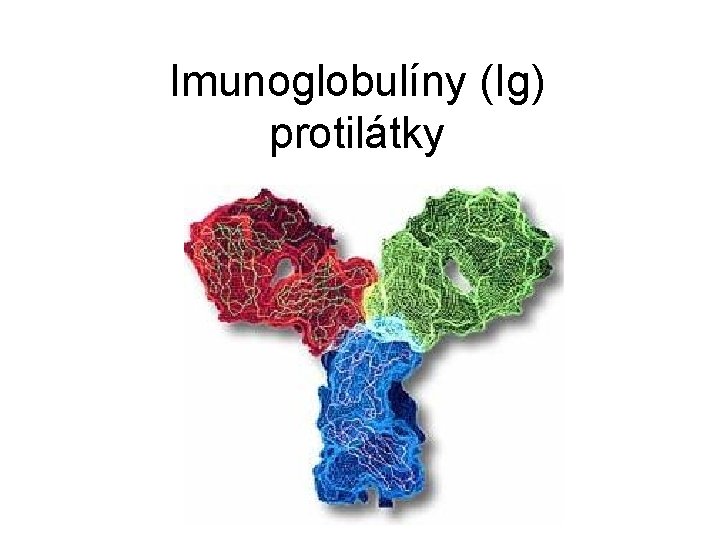 Imunoglobulíny (Ig) protilátky 