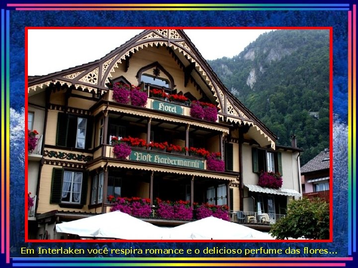 Em Interlaken você respira romance e o delicioso perfume das flores. . . 