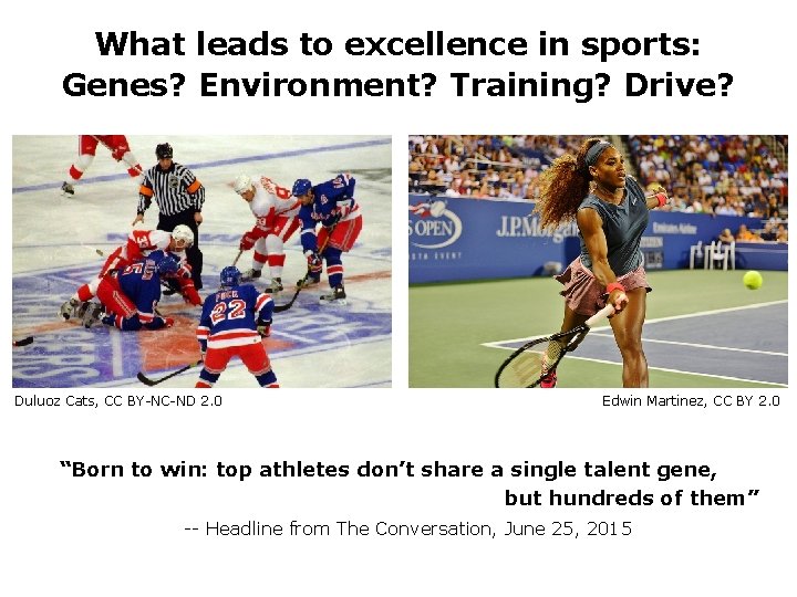What leads to excellence in sports: Genes? Environment? Training? Drive? Duluoz Cats, CC BY-NC-ND