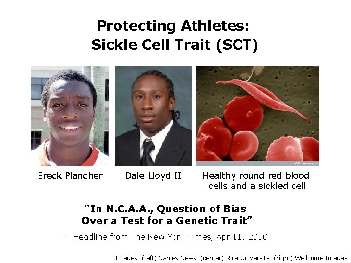 Protecting Athletes: Sickle Cell Trait (SCT) Ereck Plancher Dale Lloyd II Healthy round red