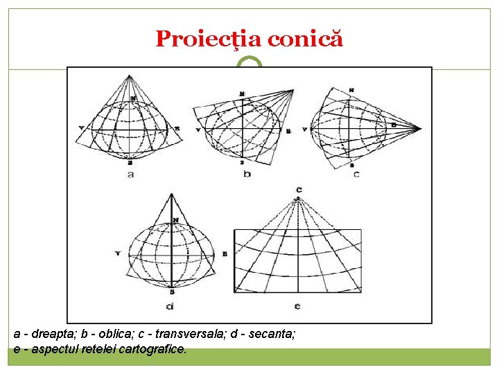 Proiecţia conică a - dreapta; b - oblica; c - transversala; d - secanta;