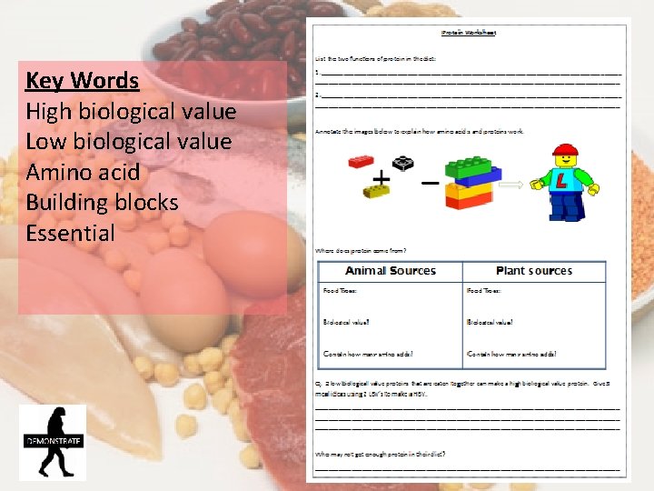 Key Words High biological value Low biological value Amino acid Building blocks Essential 