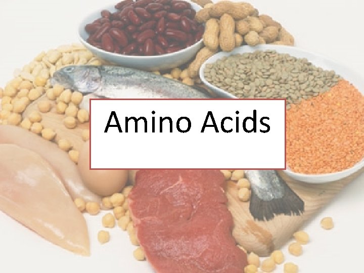 Amino Acids 