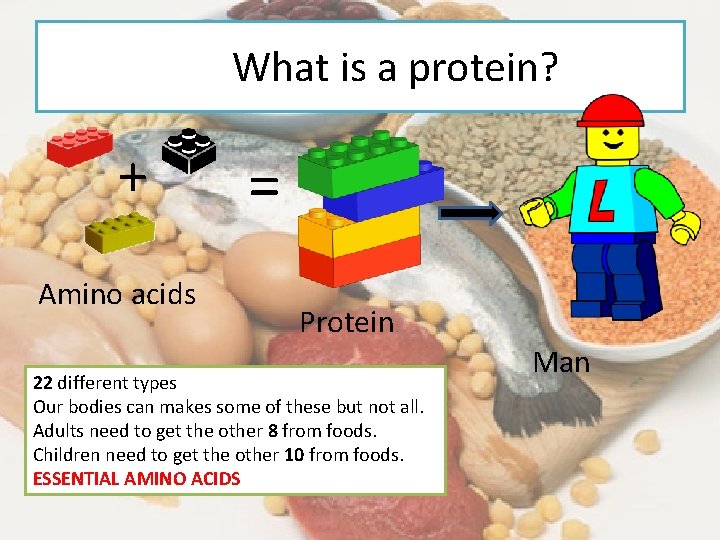 What is a protein? + Amino acids = Protein 22 different types Our bodies