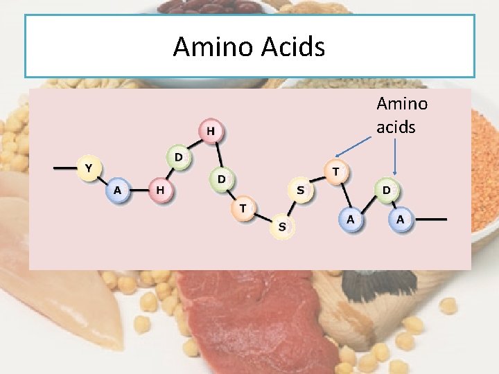 Amino Acids Amino acids 