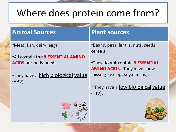 Where does protein come from? Animal Sources Plant sources • Meat, fish, dairy, eggs.