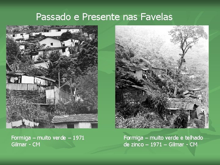 Passado e Presente nas Favelas Formiga – muito verde – 1971 Gilmar - CM